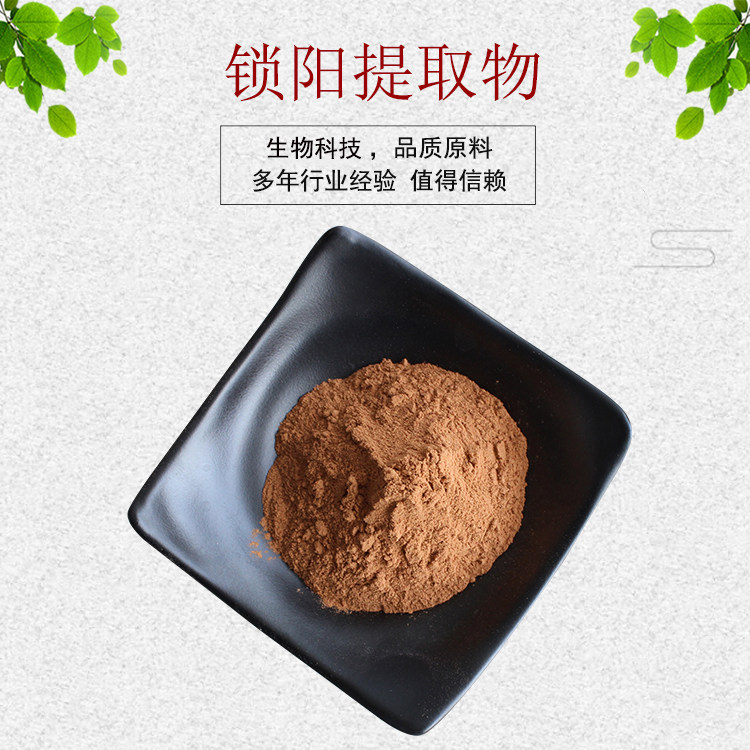 锁阳提取物30:1 锁阳生物碱 锁阳浓缩粉 资质齐全 包邮