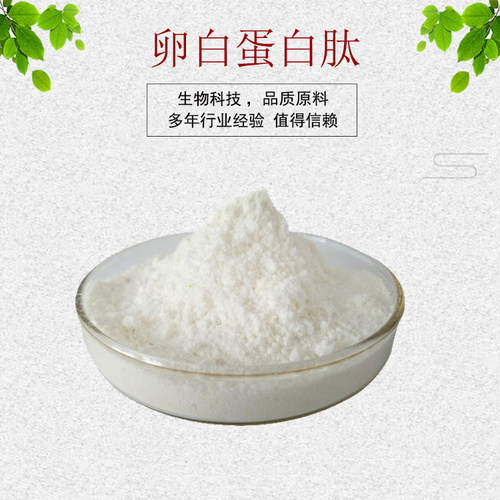 卵白蛋白肽99%卵清蛋白多肽 卵蛋白酶解物 量大从优 资质齐全包邮
