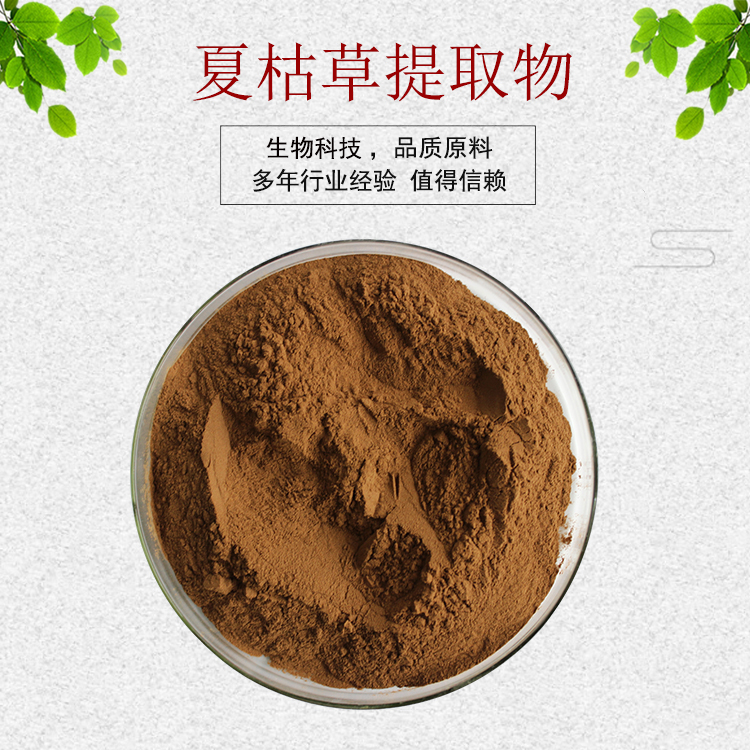 夏枯草提取物30:1夏枯草浓缩粉 植物提取物 量大优惠 现货包邮