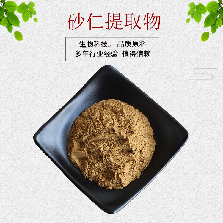 砂仁提取物砂仁浓缩粉