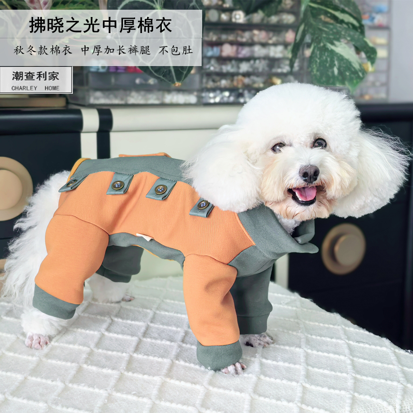 潮查利家泰迪比熊中厚保暖衣服