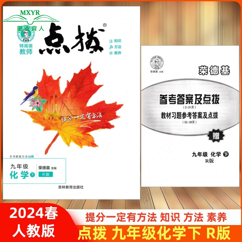 点拨九年级下化学人教版