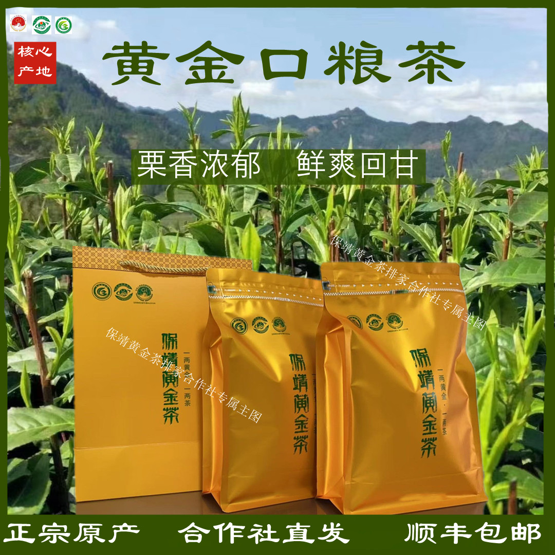 2026明前保靖黄金茶袋装湘西高山优选谷雨绿茶湖南富硒高档毛尖茶