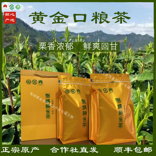2025明前保靖黃金茶袋裝 湘西高山優(yōu)選谷雨綠茶湖南富硒高檔毛尖茶