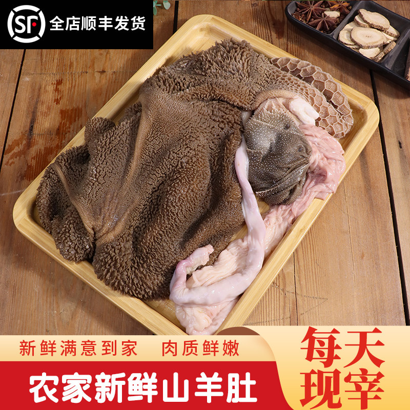 羊瘪汤农家新鲜羊毛肚生羊肚子金钱肚涮百叶肚包肉羊杂汤熟羊肚