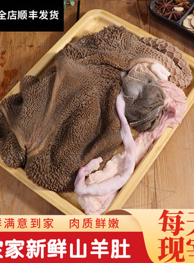 农家新鲜羊毛肚生肚子涮羊百叶