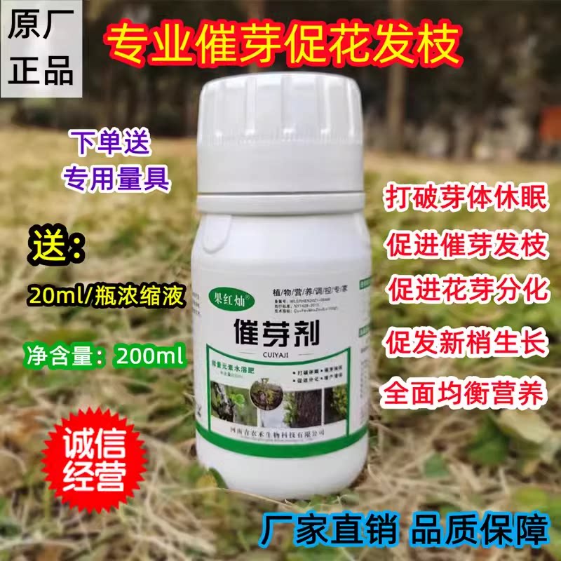 果树苗木催芽剂大樱桃发枝素苹果抽枝宝花芽素细胞分裂素花卉促芽