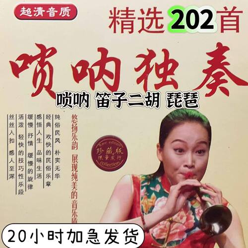 喜庆唢呐笛子二胡琵琶U盘吹奏曲欢快MP3民族乐曲音频唢呐独奏曲