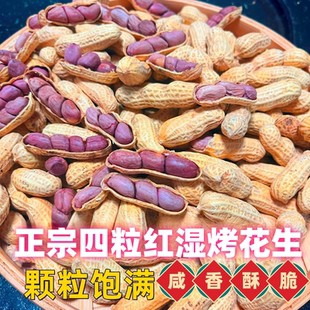 河源忠信湿烤紫衣花生酥脆红衣花生带壳客家忠信特产小吃炒货零食