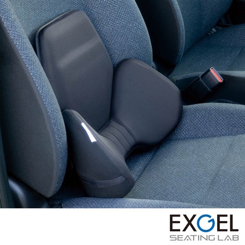 特斯拉蔚来极氪车腰靠日本EXGEL