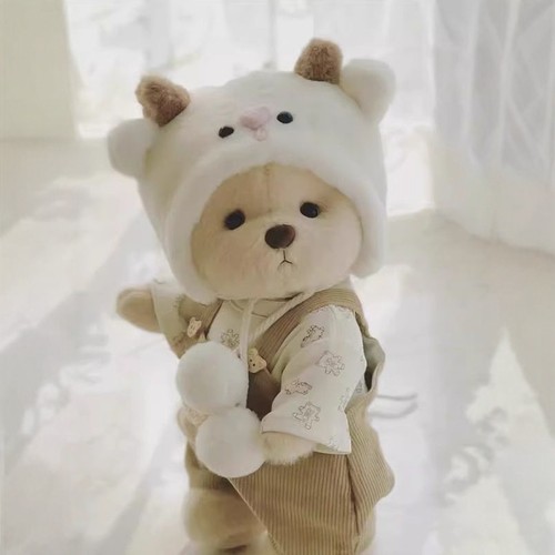 【仅衣服】适用30cm莉娜手工小熊毛绒玩具替换娃娃可爱公仔衣服