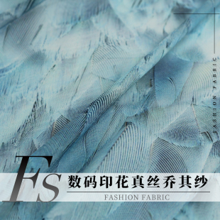 FS风尚真丝乔其纱蓝色抽象羽毛印花桑蚕丝绸女服装连衣裙布料面料