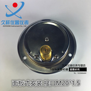 YN100ZT 1.6Mpa 耐震轴向带边压力表 耐震压力表 面板式压力表