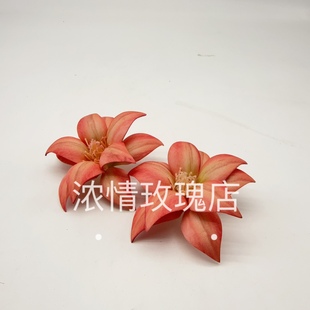 韩式仿真花头木兰花3D打印胶片花头配件手工花环diy装饰花