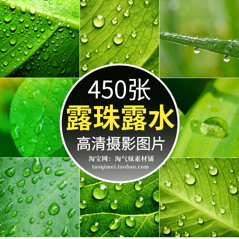 高清jpg露珠露水图片清晨白露雨后绿色植物叶子水珠微距摄影素材