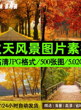 高清JPG秋天风景图片初秋深秋黄色落叶红叶枫叶自然美景摄影素材