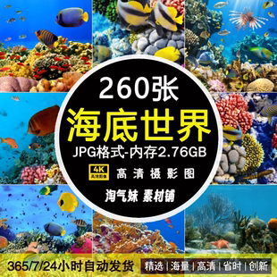 高清JPG海底世界图片深海洋水底生物珊瑚海龟鱼类水族馆摄影素材