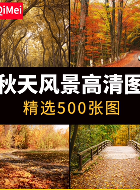 高清JPG秋天风景图片初秋深秋黄色落叶红叶枫叶自然美景摄影素材