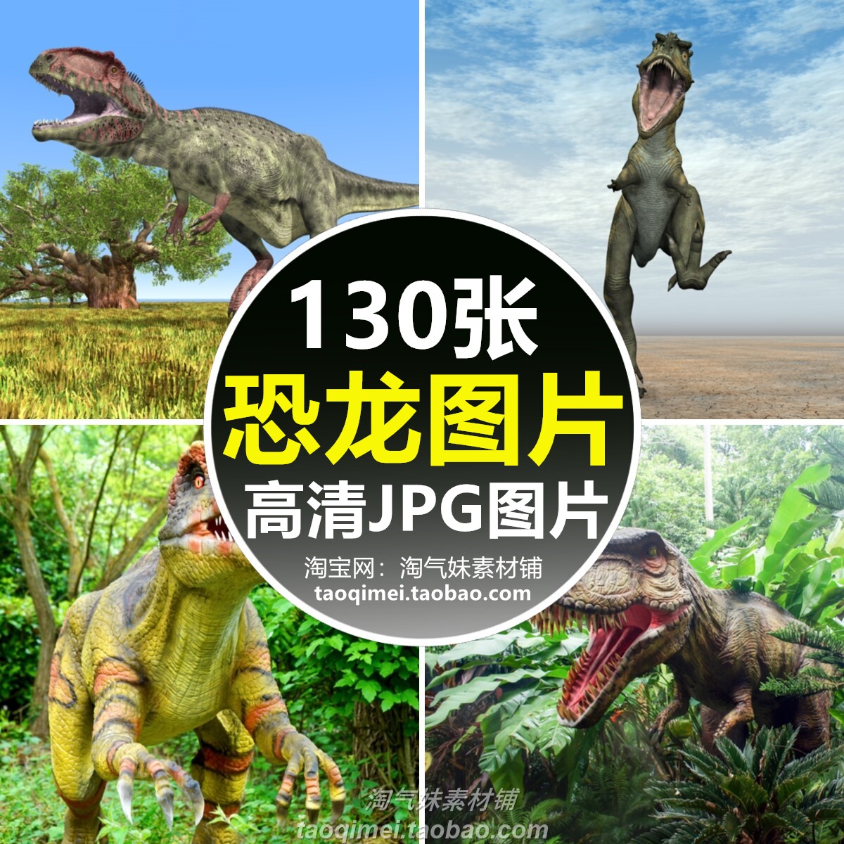 高清jpg恐龙图片霸王龙三角龙翼龙剑龙远古侏罗纪时代摄影照素材
