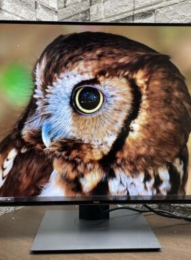 戴尔 dell u3225qe u3223qe p3225qe p3223qe 32寸显示器 4K