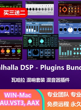 哇哈拉插件 Valhalla Vintage Future Verb room Delay Plate