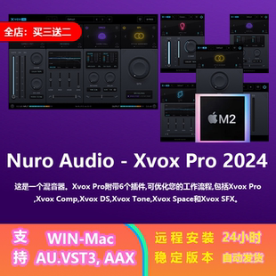 Pro 网红同款 插件 Audio win&Mac 混音 Xvox AI智能 Nuro 人声