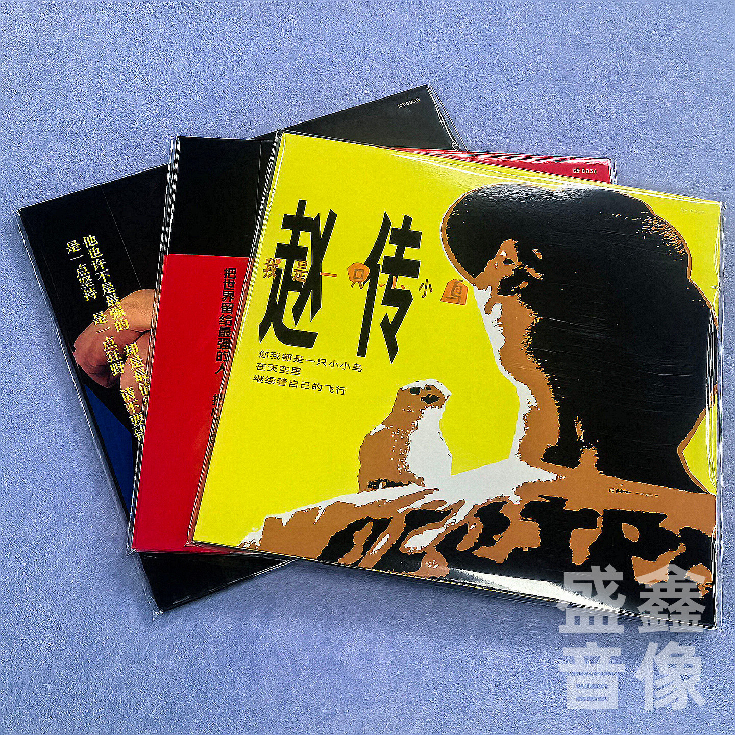 编号版 赵传黑胶唱片LP专辑 我是一只小小鸟/我终于失去了你