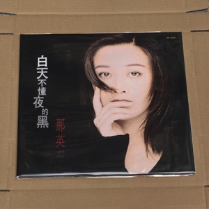 正版现货 那英黑胶 白天不懂夜的黑 经典五大黑胶唱片LP编号版