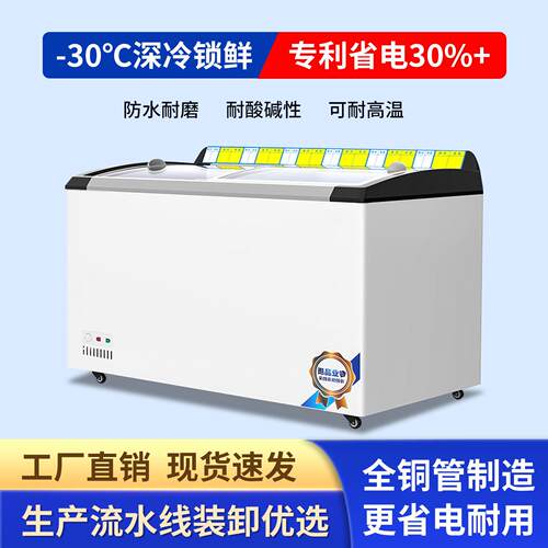 冰柜商用冷冻展示柜大容量冷藏柜 雪糕柜 透明玻璃门超市展示柜