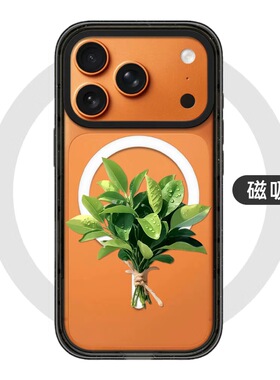 CASE联名一束柚子叶适用17promax手机壳iPhone16pro苹果15plusMagSafe磁吸14p透明C家13可爱12潮流11简约搞怪