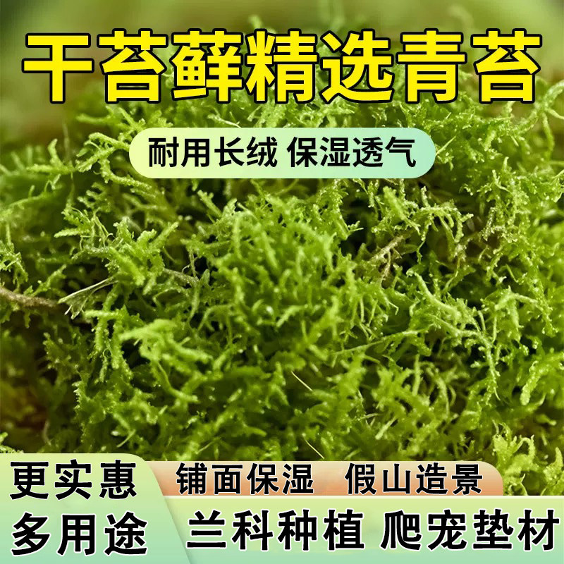优质天然干苔藓蝴蝶兰花石斛水苔