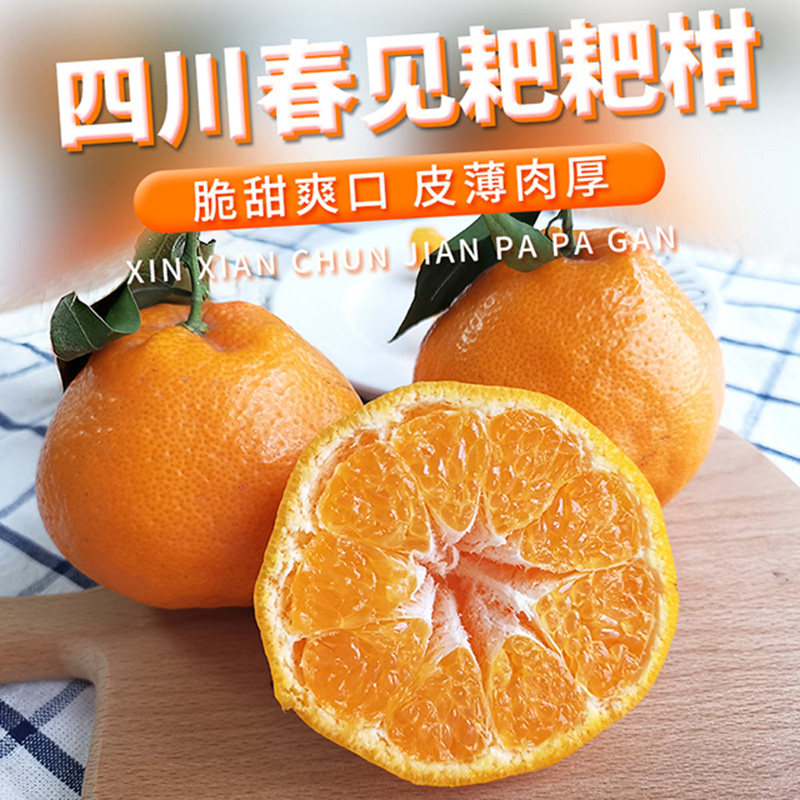 【顺丰】四川眉山春见耙耙柑柑橘水果甜嫩多汁新鲜现摘现发5斤8斤,水产肉类/新鲜蔬果/熟食,桔子,淘宝优惠券,粉丝福利购,淘宝优惠卷