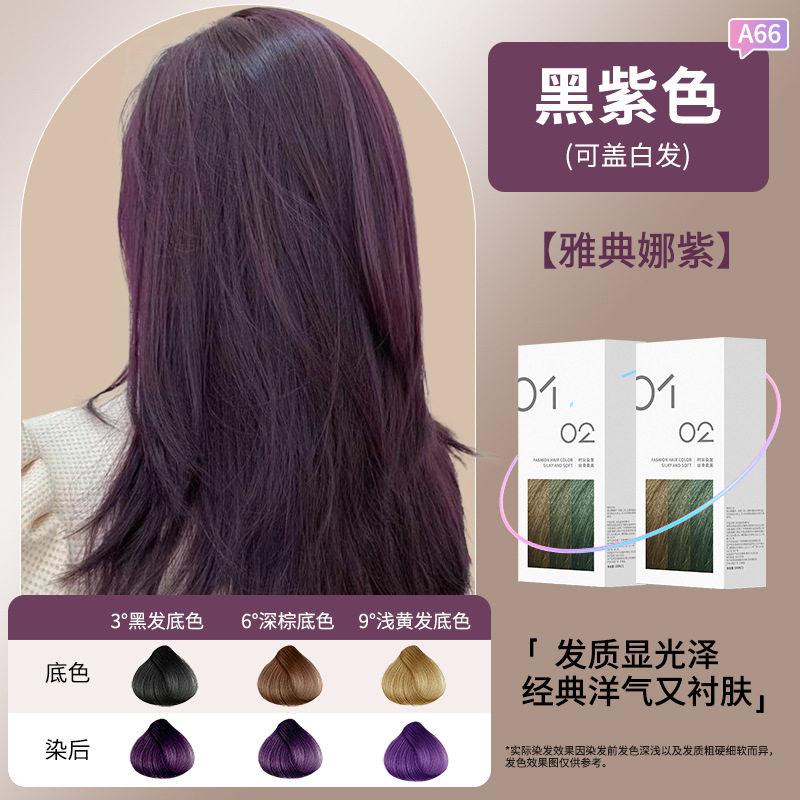 免漂黑加仑紫色染发剂遮白发植物自己在家染发膏粉棕色树莓红色