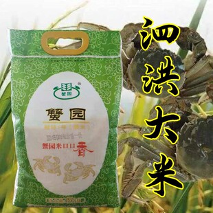 江苏大米南粳9108苏北泗洪大米蟹园大米5公斤口感软新鲜自然米香