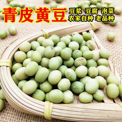 青皮黄豆农家土货青皮黄心椭圆形黄豆老品种青皮豆苏北粉青大菜豆