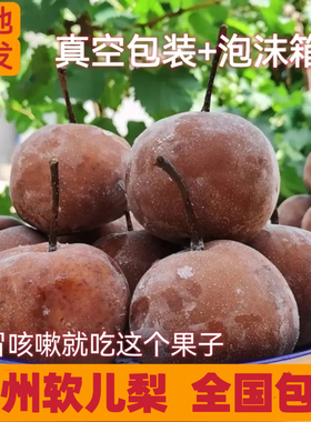 软儿梨甘肃兰州特产什川古梨园冻梨黑梨止咳化痰果香水梨化心梨