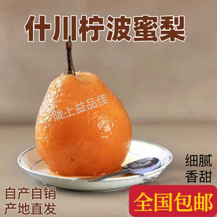 柠波梨甘肃兰州什川古梨园软儿梨冻梨止咳化痰果香水梨