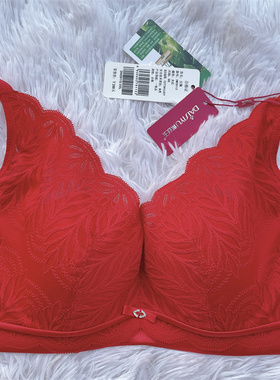 戴丝玉新品中薄款BC通杯文胸DW29112集中聚拢侧收记忆软钢圈内衣