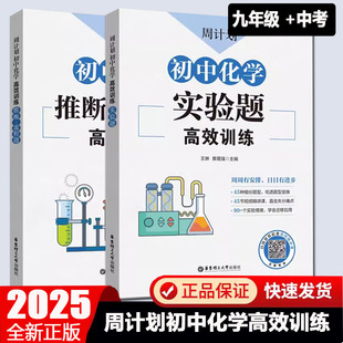 2025新版周计划初中化学实验题推断·流程题高效训练 初一二三中考化学拓展练习专项训练七八九年级中考化学题型巧解解题方法