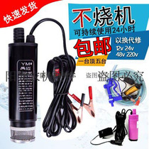 Electric pump, electric vehicle, 12v24v48v220, small and convenient pump
