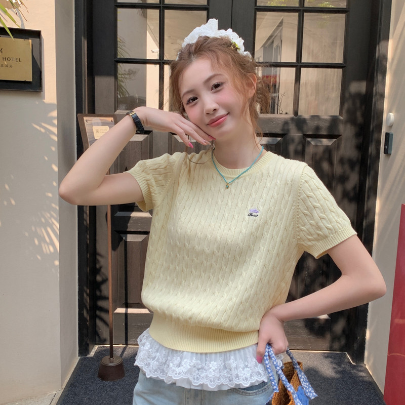 夏季独特漂亮刺绣针织短袖T恤女图片
