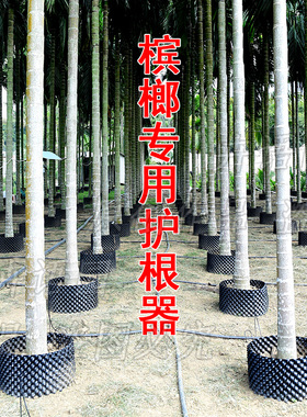 槟榔树专用护根器 黑色塑料围板 果树树苗阻根板加厚围树板控根器