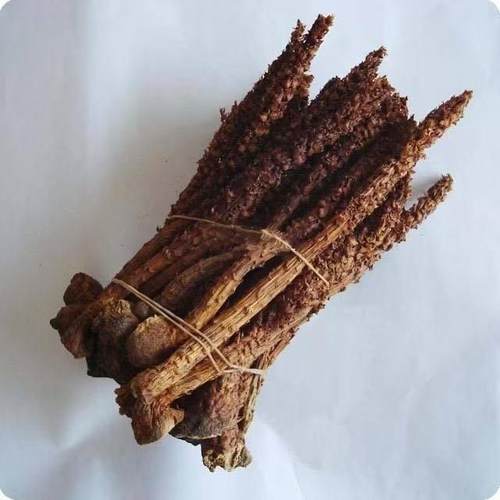 野生不老草苁蓉干货（回春草）