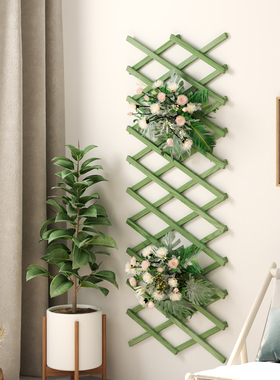 壁挂实木花架围栏网格阳台可伸缩爬藤庭院加厚装饰拉网藤架室内