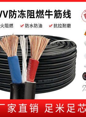 电缆线2芯RVV1.5/2.5/4/6平方电源延长线家用防水防冻足芯软电线