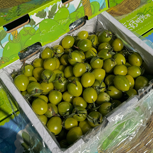 北京小时达青甜小番茄 青甜二号 大果礼盒孕妇水果鲜甜多汁