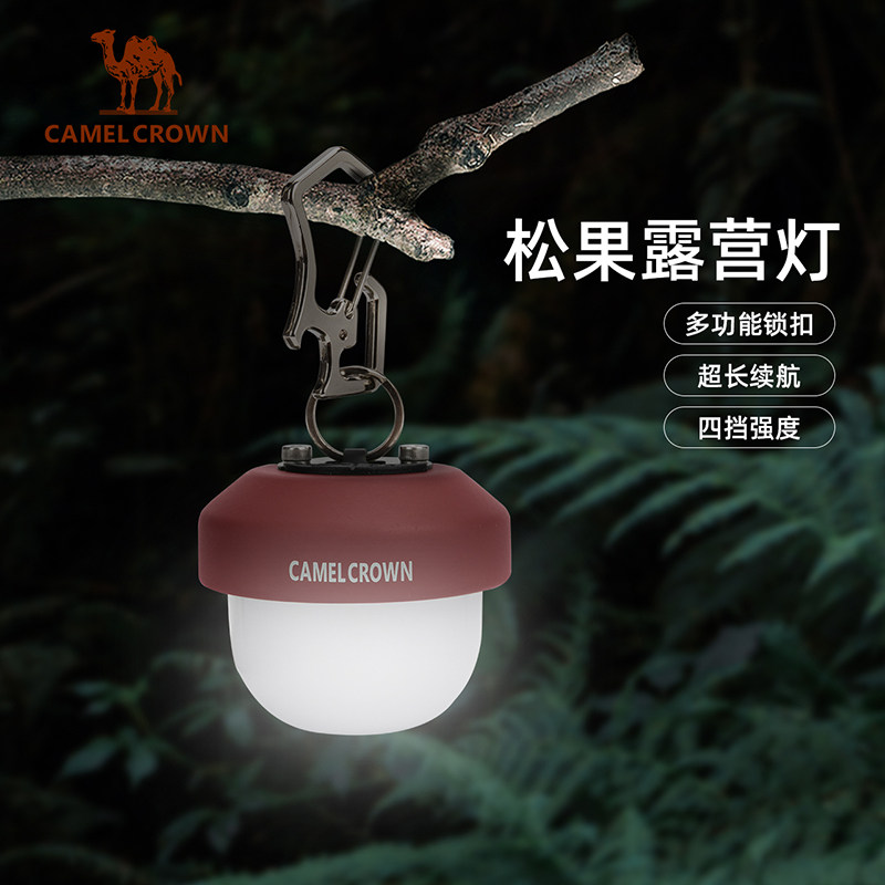 【非卖品】户外精致露营照明灯野营氛围灯野外挂式帐篷灯长续航可