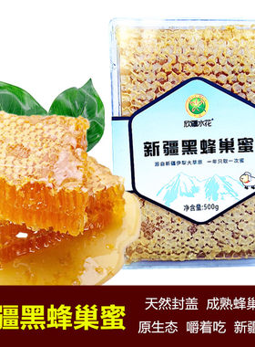新疆伊犁黑蜂巢蜜嚼着吃的蜂蜜