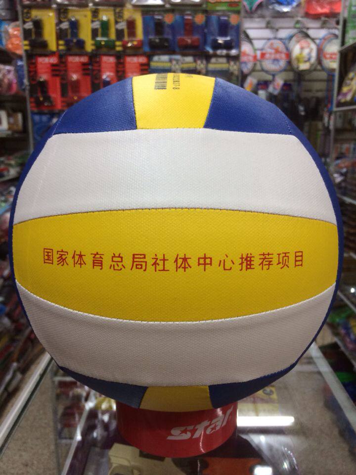 Ballon de volley-ball - Ref 2013109 Image 4