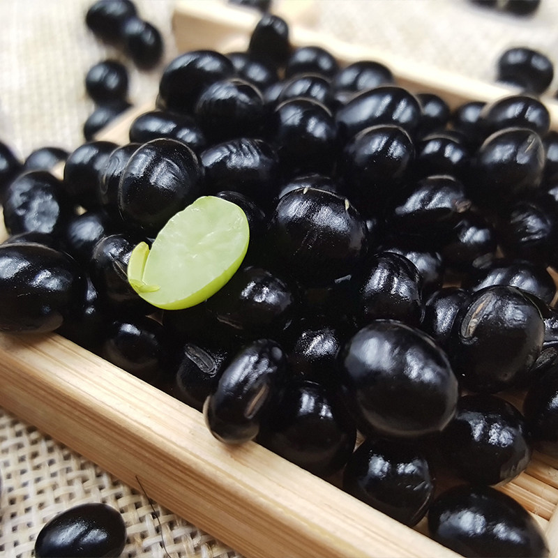 黑豆云南老品种绿心黑豆土特产农黑豆
